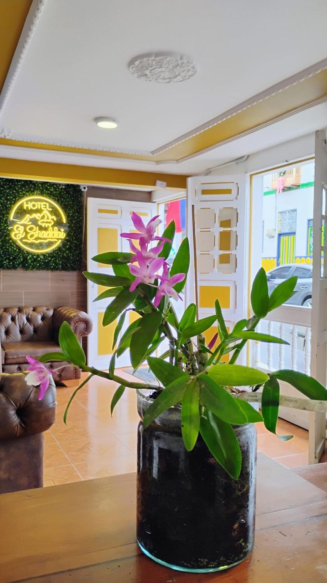 Guest house Shaddai Filandia
