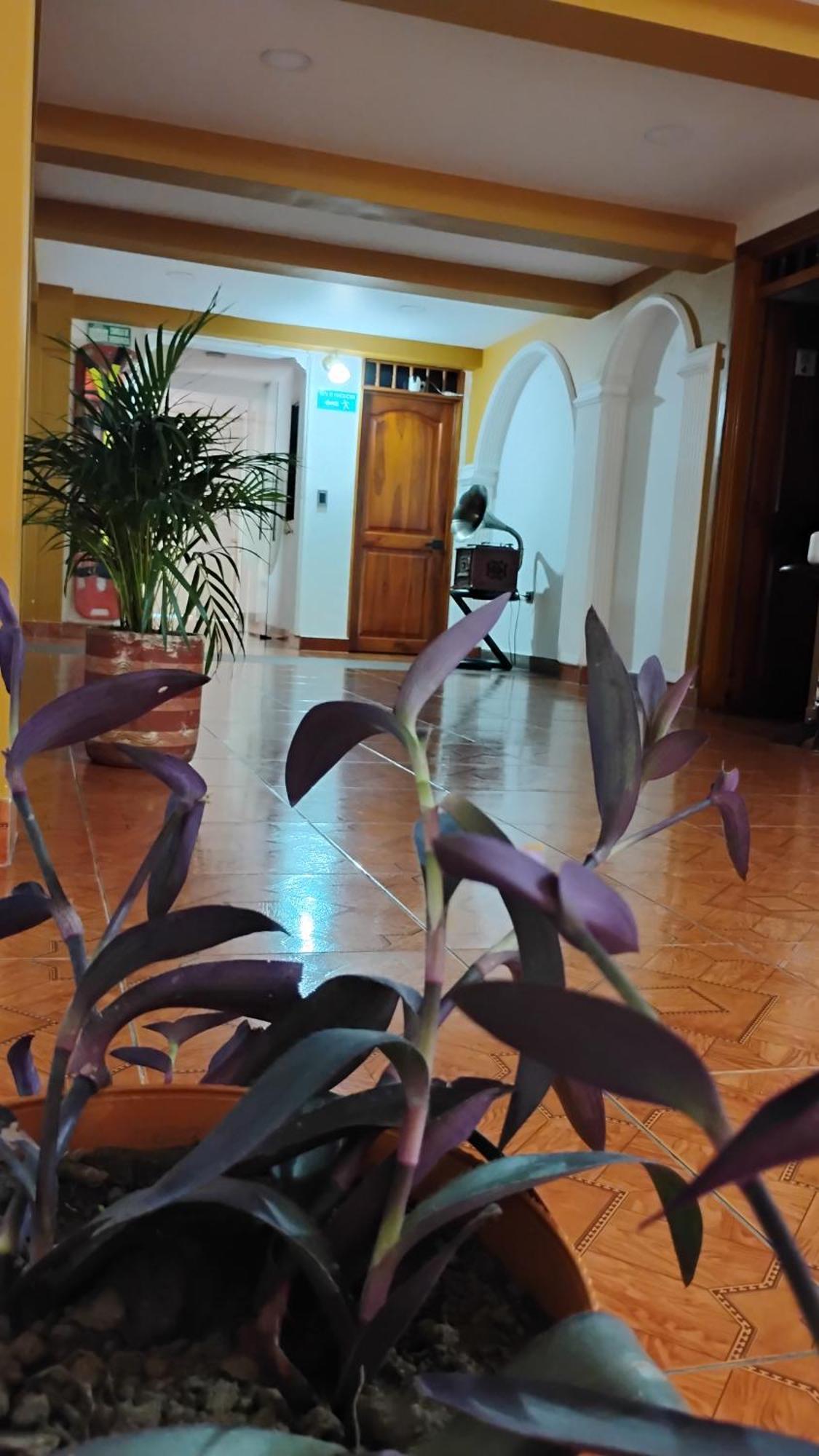 Shaddai Guest house *